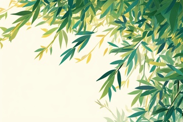 柳枝水彩边框背景