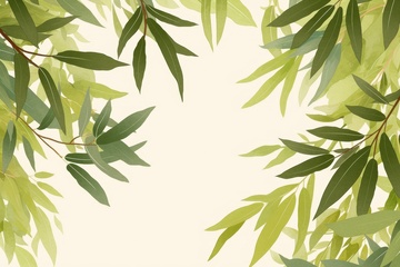 水彩树叶树枝边框背景