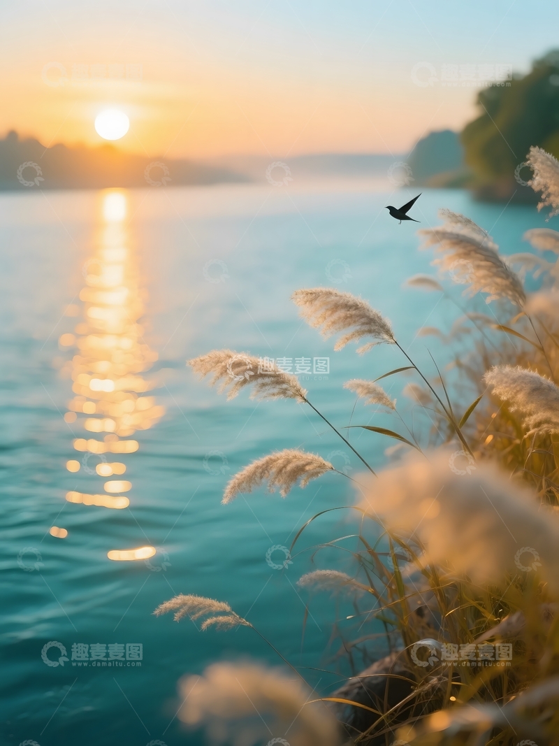 高清大图下载【趣麦麦图】-河畔河畔的黄昏诗意3