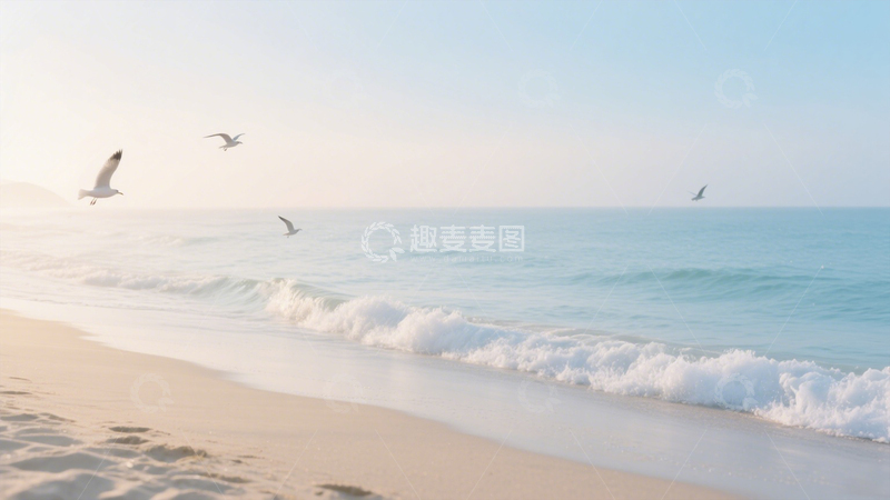 高清大图下载【趣麦麦图】海滩海鸥清新海景