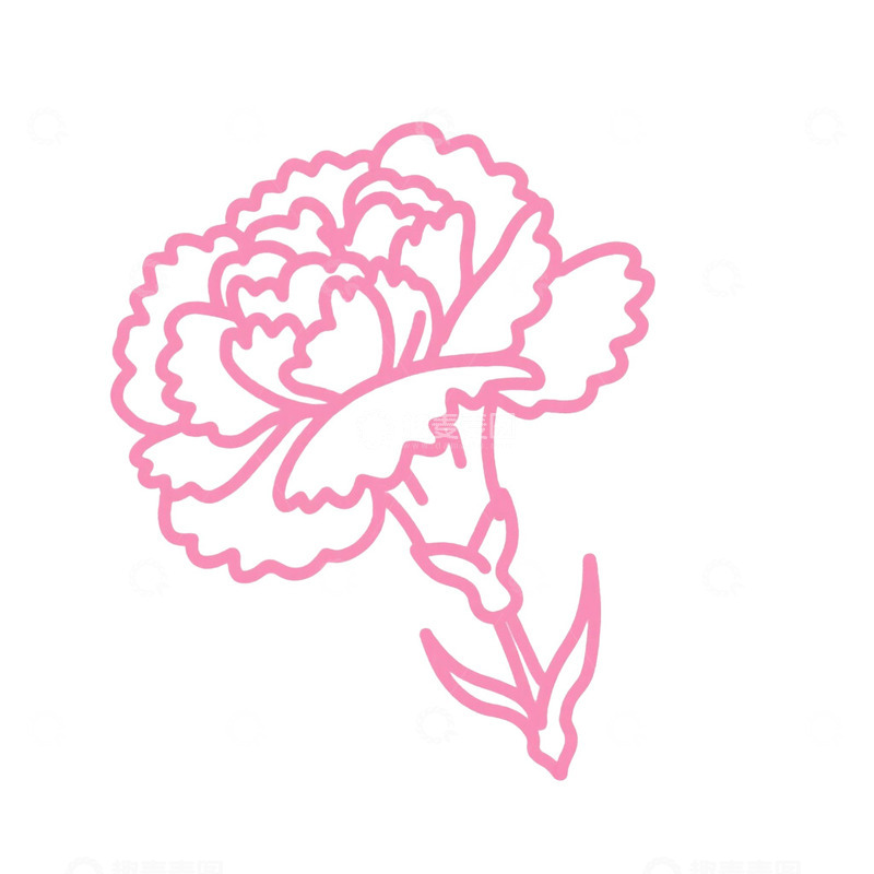 高清大图下载【趣麦麦图】花朵康乃馨线稿免抠元素