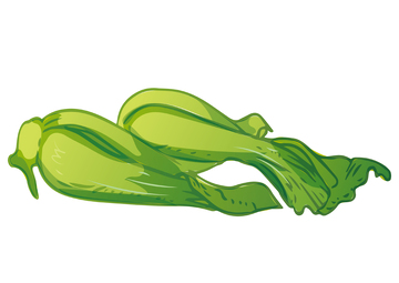 手绘上海青蔬菜