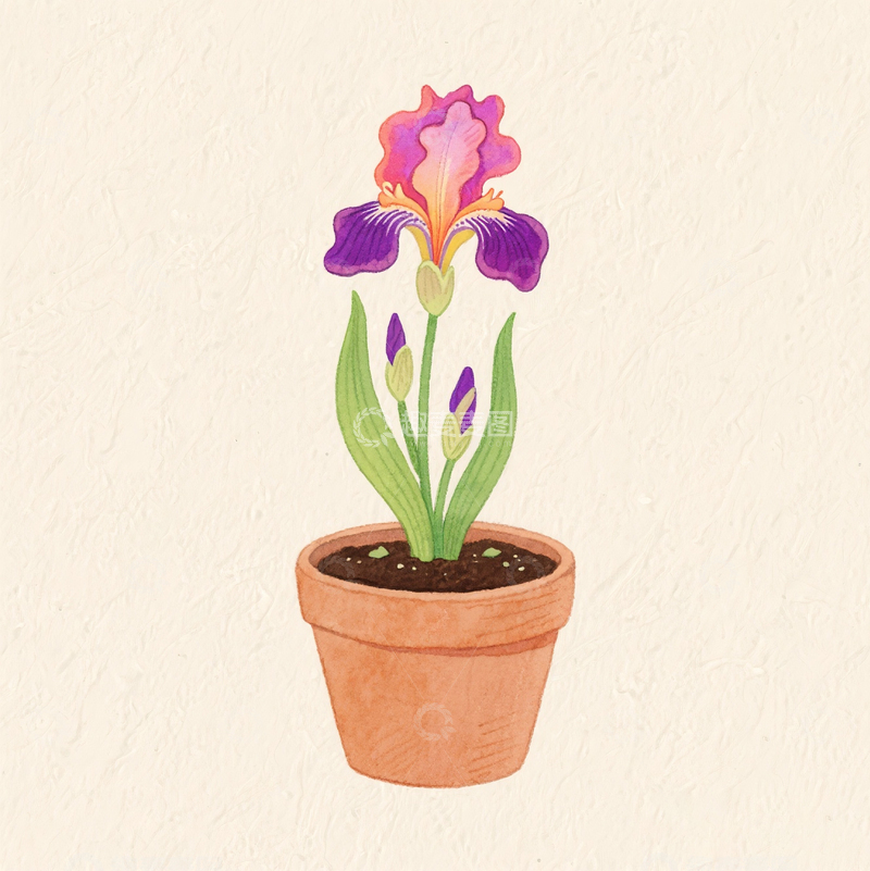 卡通水彩手绘鸢尾花素材3