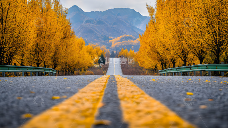 高清大图下载【趣麦麦图】秋冬树林里的公路1