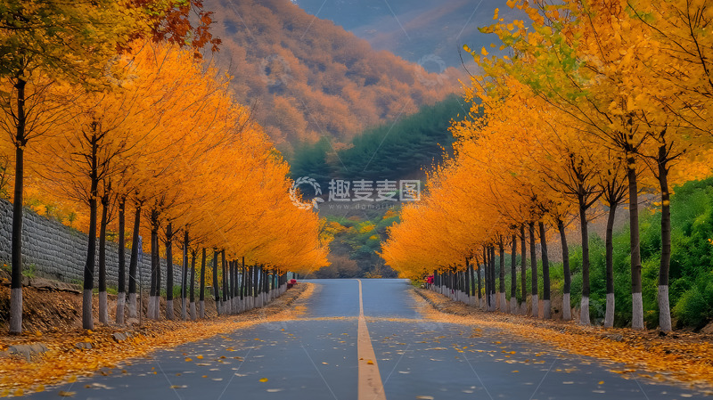 高清大图下载【趣麦麦图】秋冬树林里的公路
