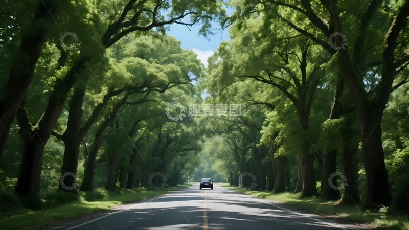 高清大图下载【趣麦麦图】林间公路的自驾风光1