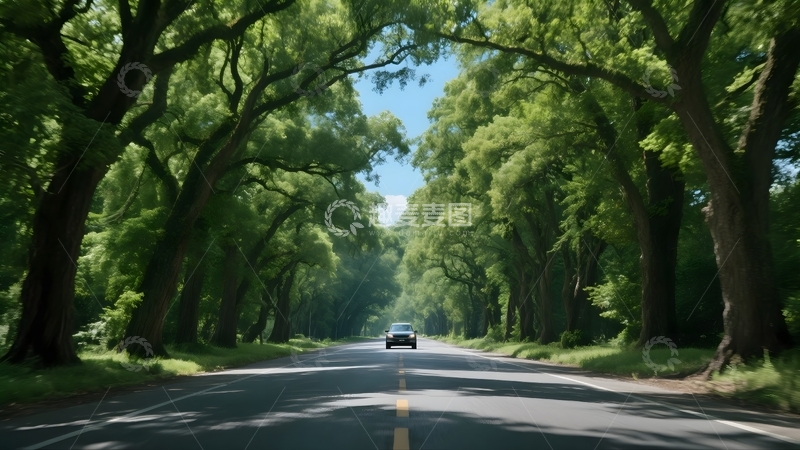 高清大图下载【趣麦麦图】林间公路的自驾风光
