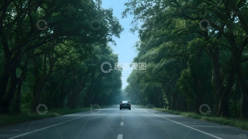 高清大图下载【趣麦麦图】林间公路的自驾风光2