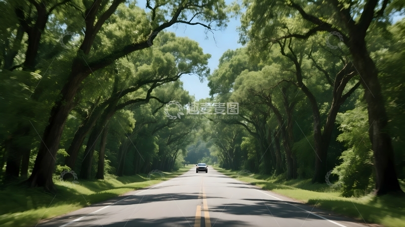 高清大图下载【趣麦麦图】林间公路的自驾风光3