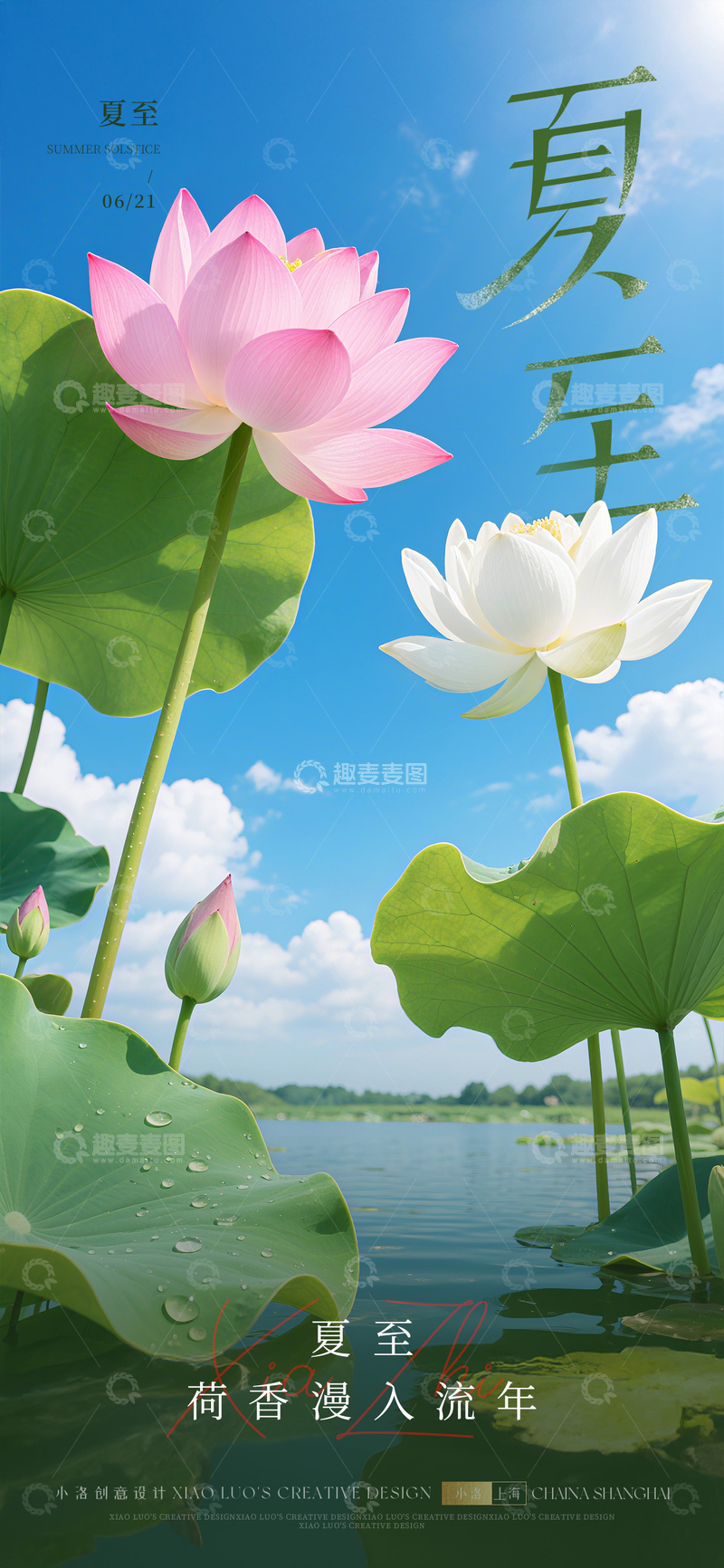 夏至节气清爽海报2