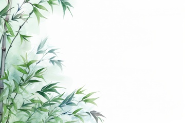 水彩简约竹子边框背景