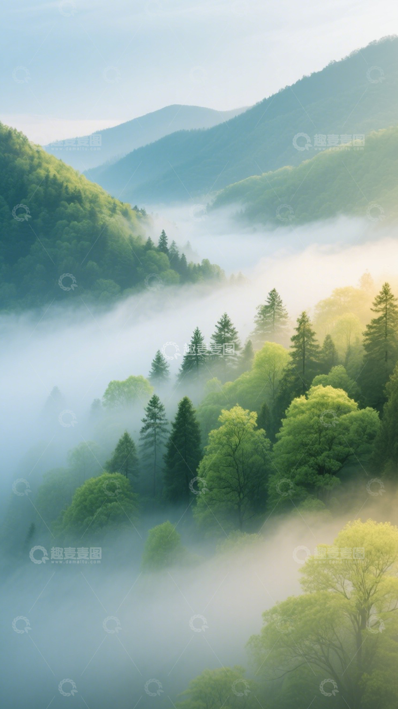 高清大图下载【趣麦麦图】山林雾景绿树幽境1