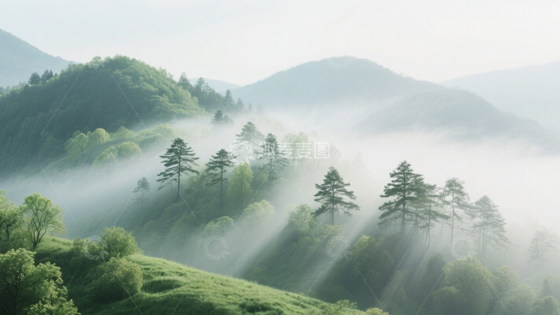 高清大图下载【趣麦麦图】山林雾景绿树幽境4
