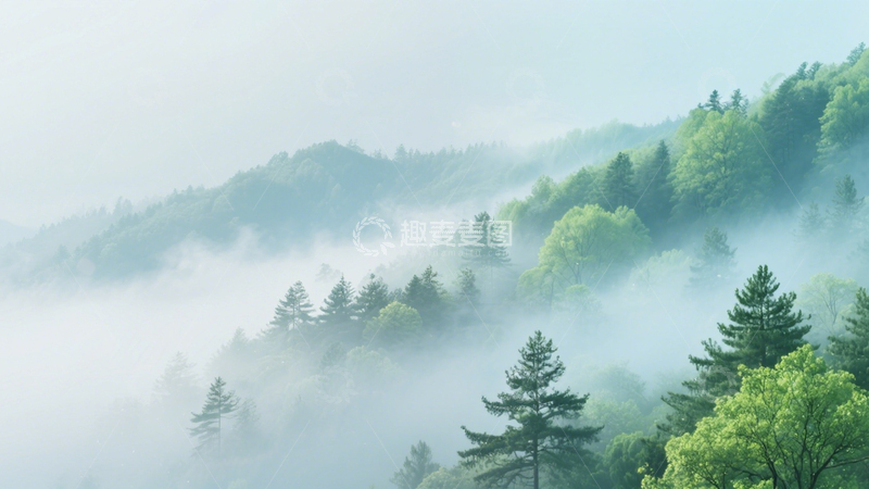 高清大图下载【趣麦麦图】山林雾景绿树幽境3