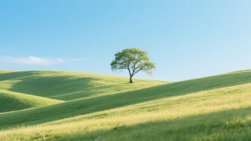 孤树绿坡宁静胜景4