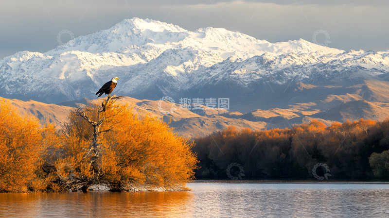 高清大图下载【趣麦麦图】冬季雪山下的湖泊1