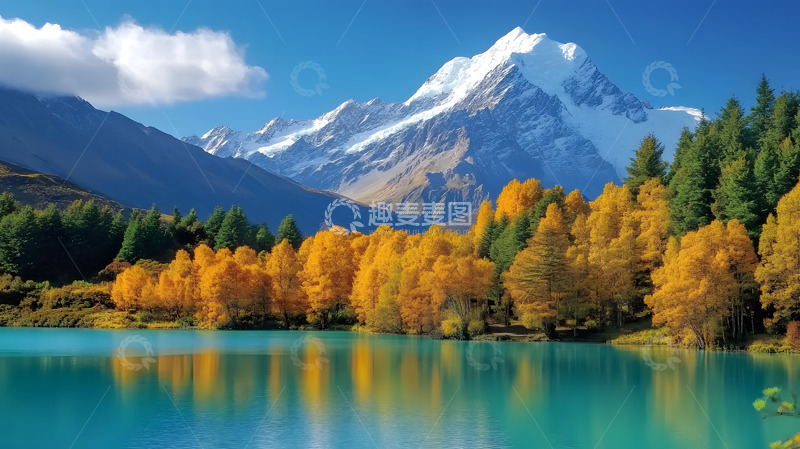 高清大图下载【趣麦麦图】秋冬黄叶树林湖泊风景1