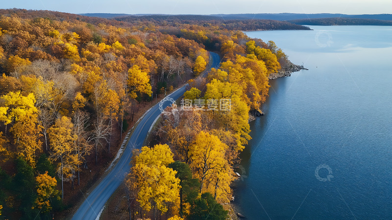 高清大图下载【趣麦麦图】秋冬黄叶树林湖泊风景11