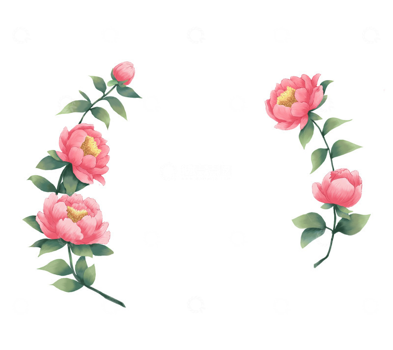 高清大图下载【趣麦麦图】国色天香手绘插画牡丹