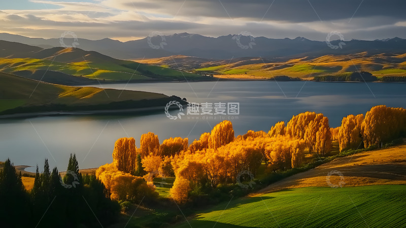 高清大图下载【趣麦麦图】秋冬黄叶树林湖泊风景32