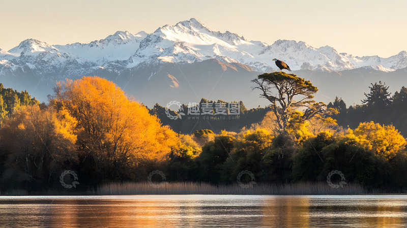 高清大图下载【趣麦麦图】秋冬黄叶树林湖泊风景31