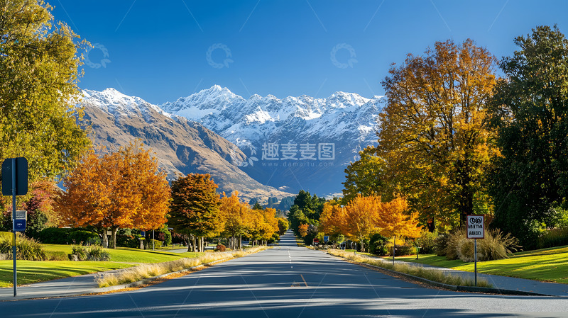 高清大图下载【趣麦麦图】雪山下的森林树木3