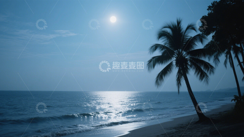 高清大图下载【趣麦麦图】月夜椰林海景图4