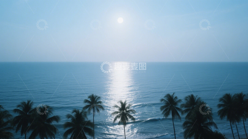 高清大图下载【趣麦麦图】月夜椰林海景图3