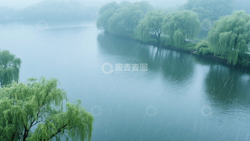 高清大图下载【趣麦麦图】雨湖垂柳朦胧景4