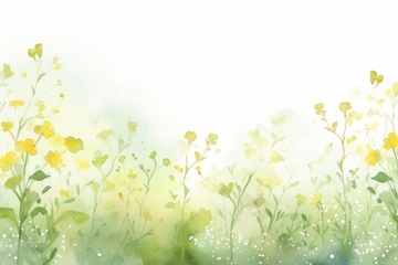 浅色水彩花草边框背景