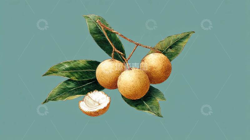 高清大图下载【趣麦麦图】龙眼  水果  夏季1