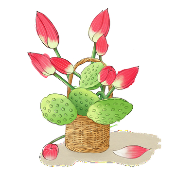 夏季荷花水彩风插画元素