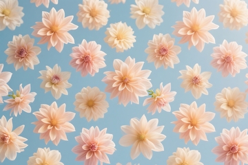 大丽花的无缝图案 