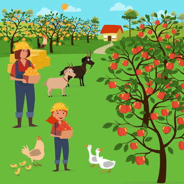 平女性苹果果农山羊