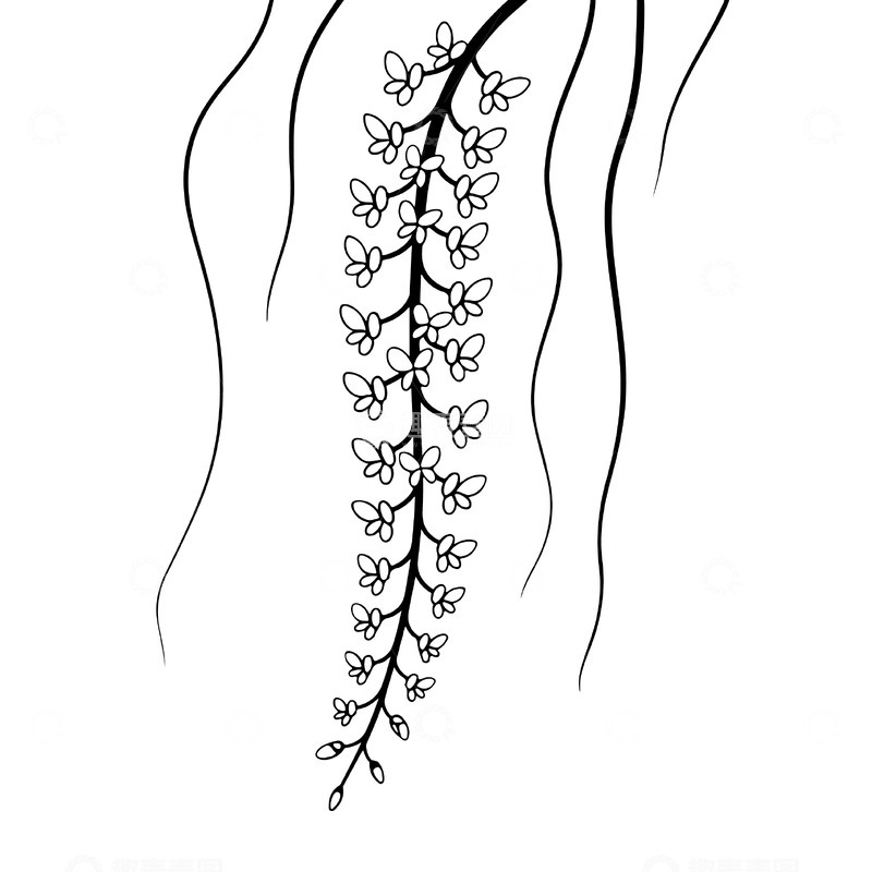 源文件下载【趣麦麦图】手绘垂坠藤蔓装饰