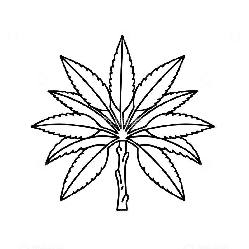 源文件下载【趣麦麦图】手绘棕榈树线稿图案