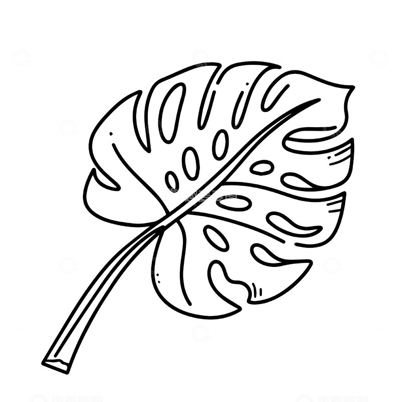 源文件下载【趣麦麦图】手绘龟背竹线稿图案
