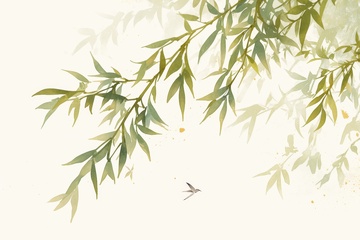 手绘水墨柳叶边框背景