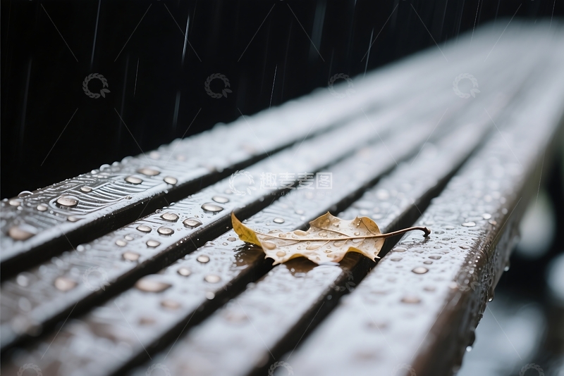 高清大图下载【趣麦麦图】城市公园与长椅在下雨的夏天天气 