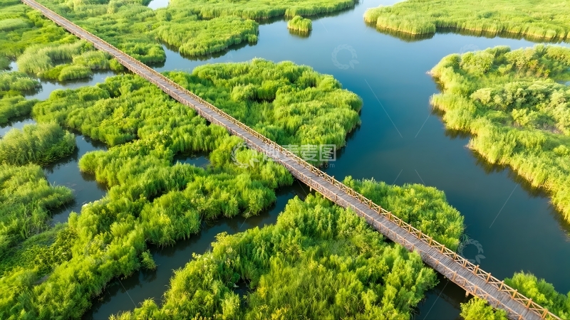 高清大图下载【趣麦麦图】湿地栈桥的生态美景2