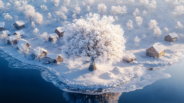 被白雪覆盖的大树冬景4