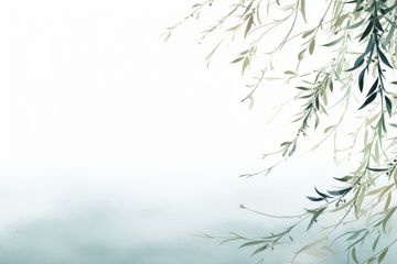 手绘柳枝边框背景1