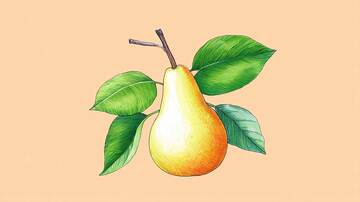 梨  水果  可口3