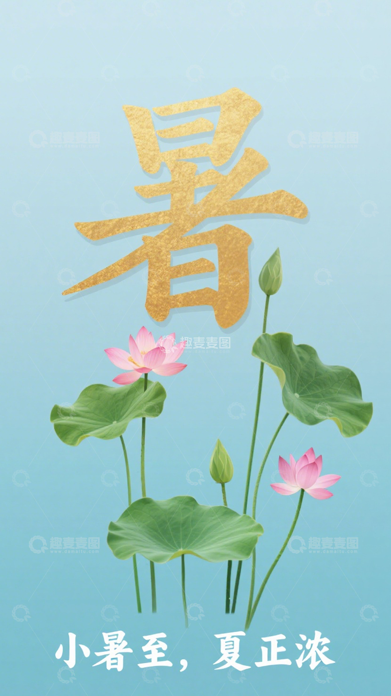 高清大图下载【趣麦麦图】小暑荷间夏日浓情