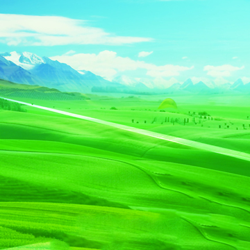 草原绿色草地大自然风景