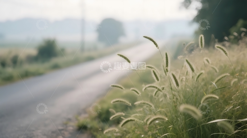 高清大图下载【趣麦麦图】晨雾郊路的草野诗意1