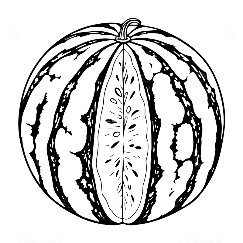 一个切过的西瓜黑白线稿