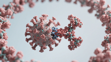 病毒微观医学图景4