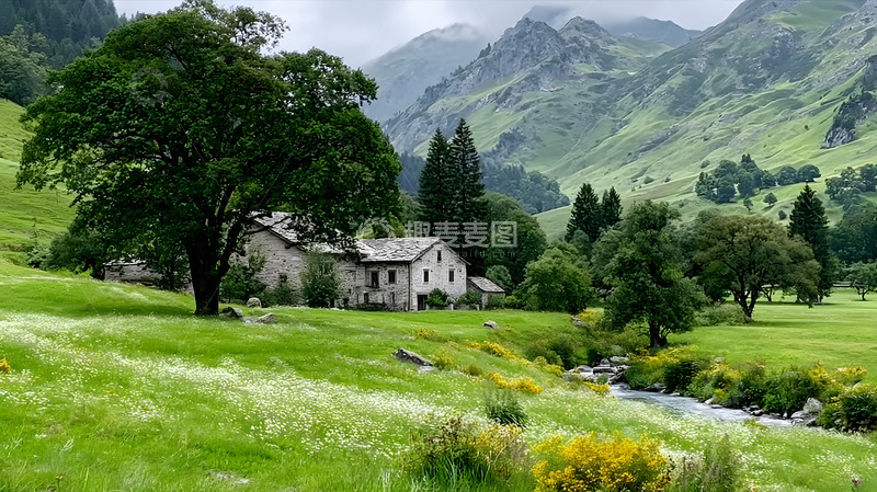 高清大图下载【趣麦麦图】夏天的高山丘壑森林绿地1