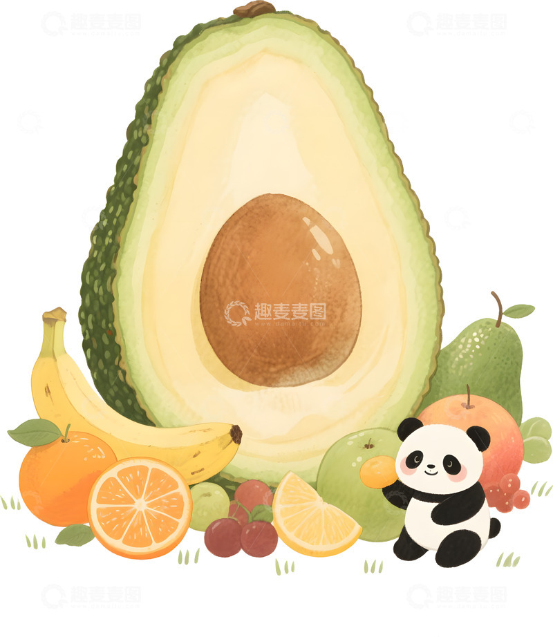 高清大图下载【趣麦麦图】-熊猫与牛油果插画